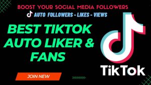 TikTok Auto Followers Likers & Views 2023